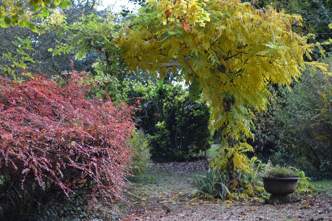 Domaine De Benveau Brécy Esterno foto