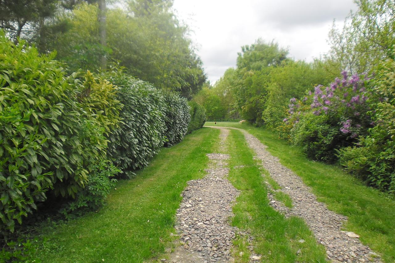 Domaine De Benveau Brécy Esterno foto