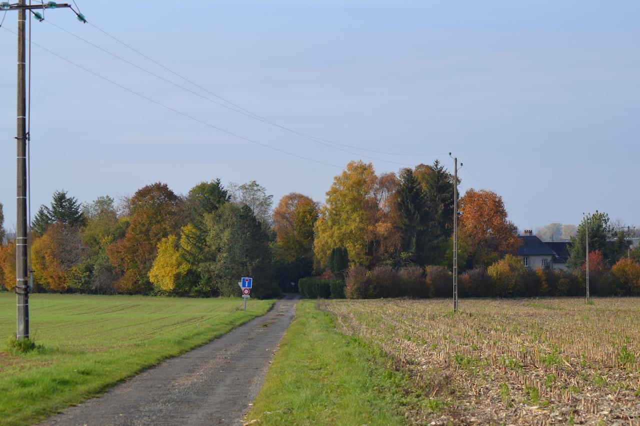 Domaine De Benveau Brécy Esterno foto